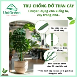 Trụ Nhựa Chống Đỡ Thân Cây, Các Loại Kiểng Lá Size To, Giữ Cho Lá Không Gãy Cụp