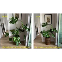Trụ Nhựa Chống Đỡ Thân Cây, Các Loại Kiểng Lá Size To, Giữ Cho Lá Không Gãy Cụp
