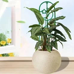 Khung nhựa đứng cho cây leo 35x10cm