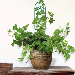 Khung nhựa đứng cho cây leo 35x10cm