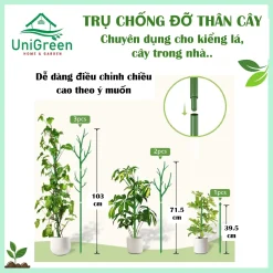 Trụ Nhựa Chống Đỡ Thân Cây, Các Loại Kiểng Lá Size To, Giữ Cho Lá Không Gãy Cụp
