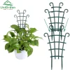 Khung Nhựa Cứng Hỗ Trợ Cây Leo