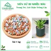 Viên Sứ Bi Ceramic Đa Sắc, Trang Trí Chậu Cây, Thủy Sinh