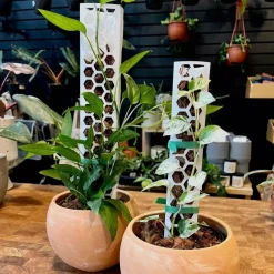 TRỤ NHỰA TRỒNG CÂY, CHO CÂY LEO - CÓ KHỚP NỐI LÊN CAO TRỤ NHỰA TRỒNG CÂY, CHO CÂY LEO - CÓ KHỚP NỐI LÊN CAO