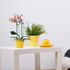 Set 10 trụ cắm chống ngả nghiêng cho cây trồng, chất liệu sợi thủy tinh cứng cáp 45/60/75CM - UNIGREEN HOME & GARDEN