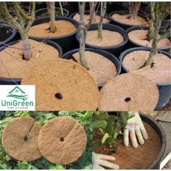 THẢM XƠ DỪA CHỐNG CỎ - LÓT CHẬU - GIỮ ẨM ĐẤT - NGĂN ĐỘNG VẬT ĐÀO BỚI ĐẤT 25/37/45/60 CM