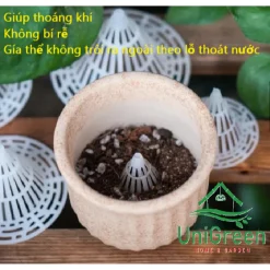 Lưới Nhựa Chắn Đáy Chậu, Giúp Đất Thông Thoáng, Bộ Rễ Khỏe