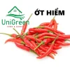 HẠT GIỐNG GIA VỊ - UNIGREEN HOME & GARDEN