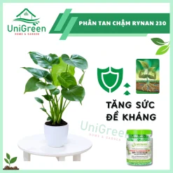 Phân Tan Chậm Rynan 230, Hũ 150gr, Chuyên Kiểng Lá, Dưỡng Lá Xanh, Sinh Trưởng Khoẻ