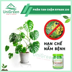 Phân Tan Chậm Rynan 230, Hũ 150gr, Chuyên Kiểng Lá, Dưỡng Lá Xanh, Sinh Trưởng Khoẻ