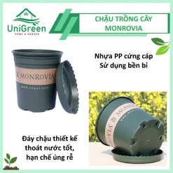 Chậu Nhựa Trồng Cây Monrovia Cao Cấp