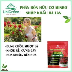 [Túi 1Kg] Phân Bón Hữu Cơ Chuyên Cho Hoa Hồng, NK Hà Lan,