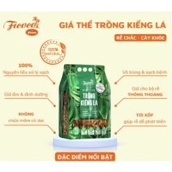 GIÁ THỂ TRỒNG KIỂNG LÁ 7L