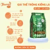 GIÁ THỂ TRỒNG KIỂNG LÁ 7L