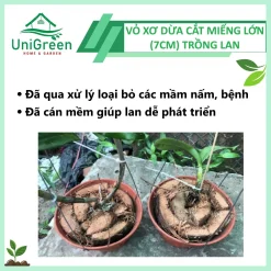 Vỏ Dừa Trồng Lan Cắt Miếng To (7cm)