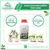 Dung Dịch Dinh Dưỡng Thủy Canh Lavamix Chai 100ml