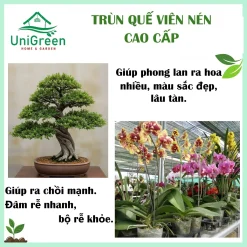 [Combo 5 Túi] Phân Trùn Quế Viên Cao Cấp, Túi 1Kg, Dinh Dưỡng Cho Lan, Bonsai Và Kiểng Lá